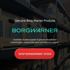 BorgWarner