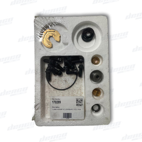 170289 Borg Warner Turbo Repair Kit (Overhaul Kit) Tp38
