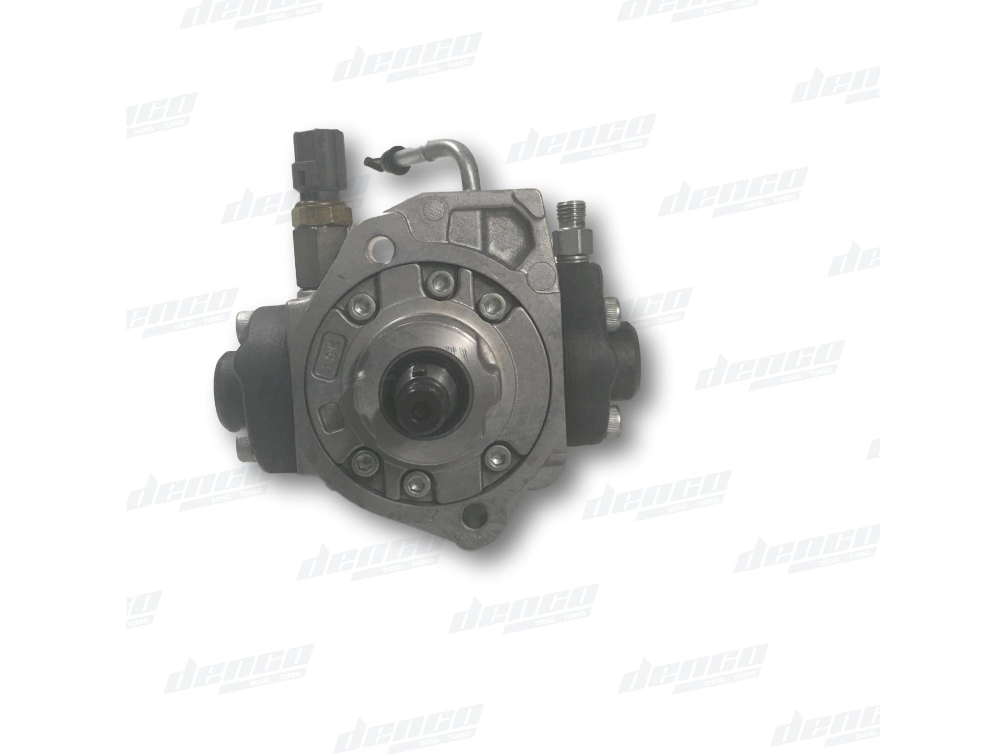 ぽぽたん 360x360_b74419b355e5ff9a146d8a