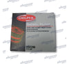 7111-296 Cav Fuel Filter (Hdf296) Diesel Injection Parts