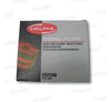 7111-296 Cav Fuel Filter (Hdf296) Diesel Injection Parts