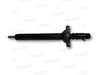 R06001D Common Rail Injector Delphi Peugot 307 / 308 407 508 Citroen C4 C5 Injectors